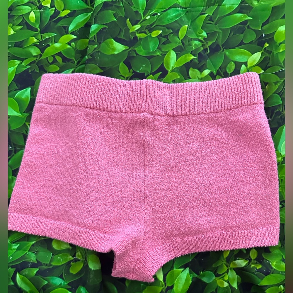 Zara Shorts